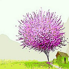 Pipo Painting DIY變調夾畫Q468招財樹系列, 1個