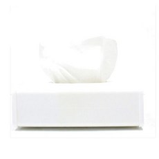 spirella Dake 紙巾盒, 白色的