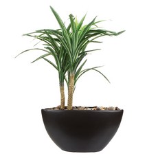 [모던하우스] 유카 보트형조화팟, 1개