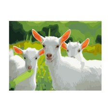 sweetea 傑作繪畫山羊