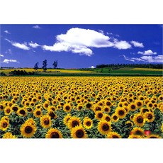 PUZZLE LIFE 向日葵平原 500片拼圖, 1個, 500件