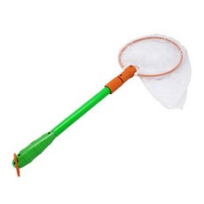 EDU-TOYS 昆蟲收藏, 19.6x80cm