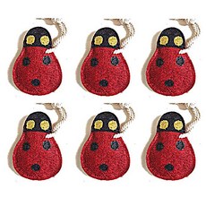 Loofah-art 瓢蟲 LADY BUG 套組, 1個, 6入