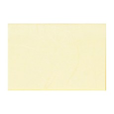 DOOSUNG PAPER 風 仁義禮智, 9個, 005(黃色)