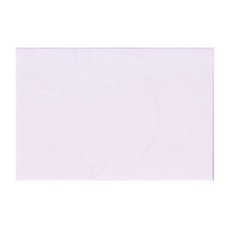 DOOSUNG PAPER 風 仁義禮智, 9個, 010(紫色)