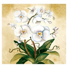 按鈕開關蓋貼紙 SD-002, 2個