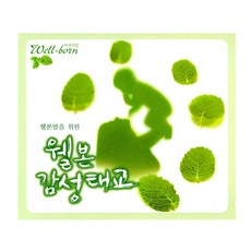 [㈜스타원엔터테인먼트] 웰본맘을 위한 웰본 감성태교, 1개