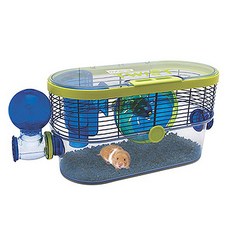 하겐 하비트레일 트위스트, 혼합색상, 1개