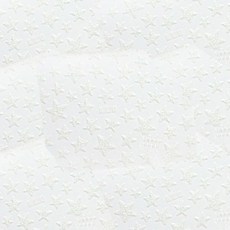 카카스 네일스티커 별, 화이트, 5개