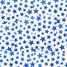 카카스 네일스티커 별, 블루, 5개