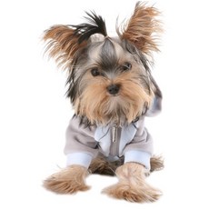 퍼피엔젤 아임 유어 스타 반려견 조깅슈트, 블루, 1개