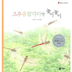 紅蜻蜓 高高飛, 飛龍所