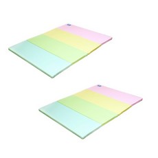 리빙코디 큐티 폴더 4단 매트 2개 세트, 듀얼