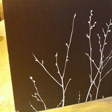 꿀밤 嫩芽樹圖案壁貼, 灰色