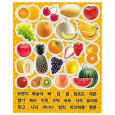 IQ자석 4: 과일, 만 3세 이상, 1개