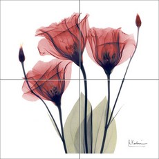 붉은색꽃 세송이 엑스레이효과 4장, B-05-2