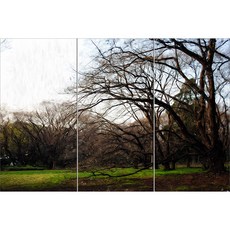 Scenery002 앙상한 가지만 남은 오래된 나무 각 3장