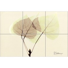 B095 나뭇잎 두장 엑스레이효과 각 6장