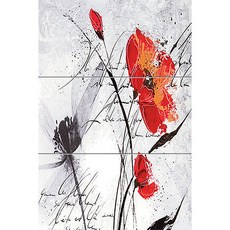 FA023563플라톤 3장, 혼합색상, 3개