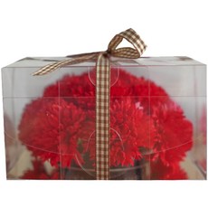 THE FLOWERMARKET 康乃馨造型香皂花盤, 1 個, 紅色康乃馨