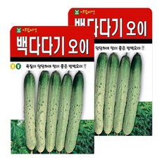 아람씨앗 백다다기 오이 씨앗 50개