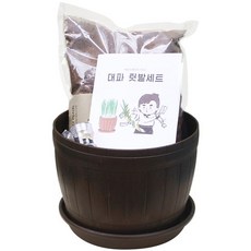 베란다레시피 쉐프의 키친가든 텃밭세트, 대파