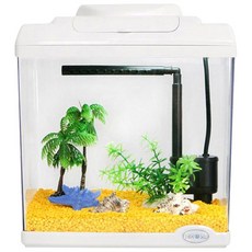 塑膠Rico水族箱套組, 透明, 1個