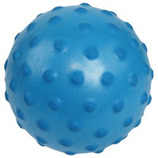 바디아트 미니 마사지 짐볼, 1) 블루