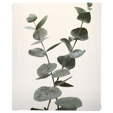 [RYMD] 北歐風室內裝飾尤加利帆布畫, 混色