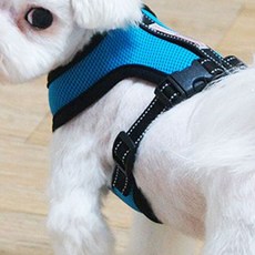affetto 安全寵物胸背帶 S, 藍色