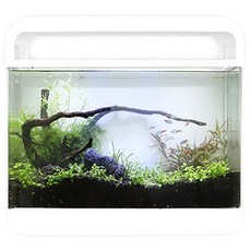 Amazon 水族箱 魚缸 AMZ-4500A, 白色, 1個