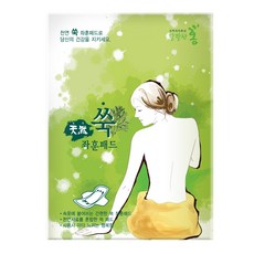 즐거운쇼핑 해피데이 쑥좌훈패드, 2개