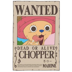 ALB 海賊王喬巴圖畫, 單色, 1 個