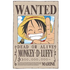 ALB 連環畫猴子 D 路飛徽章 40 x 50cm, 混色, 1 個