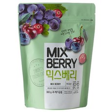 담과연 믹스베리 건크랜베리, 300g, 1개