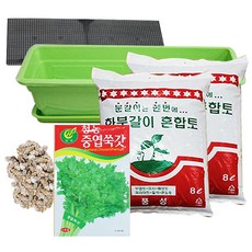 행복한세상 텃밭가꾸기 대 그린 쑥갓, 1개