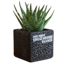 Happy Village 仿真仙人掌花盆, B型, 1個