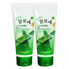 푸드어홀릭 알로에 스무디 폼 클렌징, 180ml, 2개