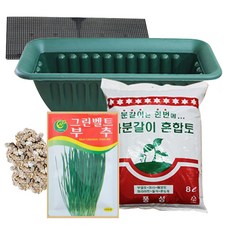 행복한세상 텃밭가꾸기 중 부추, 1개