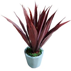 플라워마트 조화 포트 블루, 레드 드라세나, 1개, 1개