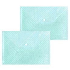 필립로지스틱 오피스 파일 파우치 2p, 블루, 2개