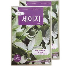 BFA허브씨앗-세이지