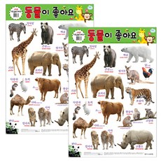 동물이 좋아요 양면벽보 기초공부시리즈, 새샘출판사
