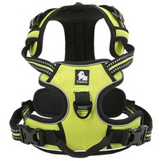 Truelove 胸背帶 TLH5651 綠色, 1個