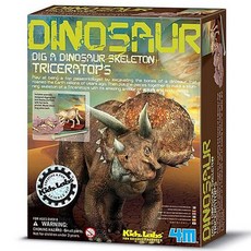 4M 恐龍挖掘遊戲, 三角龍