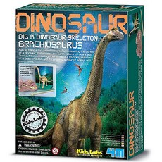 4M 恐龍挖掘遊戲, 腕龍