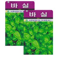 저스틴앤클로이 바실50립 허브종자, 2팩