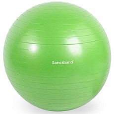 샌트밴드 안티버스트 짐볼, 그린