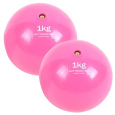 스포뱅크 웨이트볼 1Kg (2개1세트), 분홍, 1개