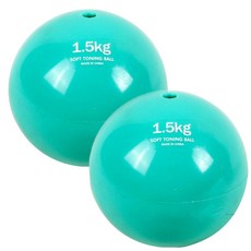 스포뱅크 웨이트볼 1.5Kg (2개1세트), 민트, 1개